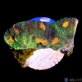 Space Invader Chalice