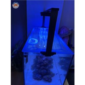 Top Lids Waterbox Clear Pro Peninsula 4820 Custom Polycarbonate Aquarium Lid