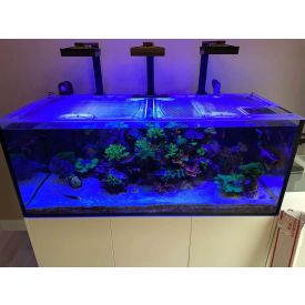 Top Lids Waterbox Reef 180.5 Custom Polycarbonate Aquarium Lid