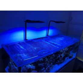 Top Lids Waterbox Reef LX 270.6 Custom Polycarbonate Aquarium Lid