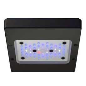 Ecotech Marine Radion XR15w Blue Gen 6 LED